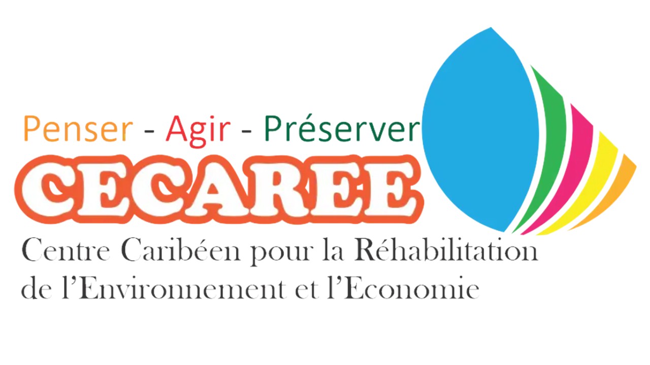 Application logo or default logo